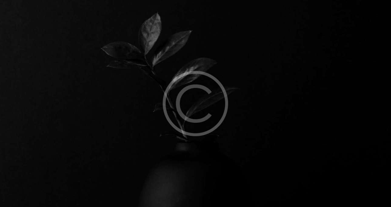 post20-copyright